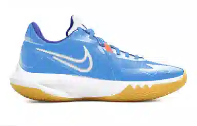 Nike Precision 6