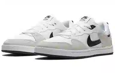 Nike SB Alleyoop White