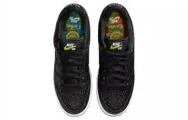 Civilist Berlin x Nike Dunk SB Thermography Low