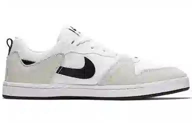 Nike SB Alleyoop White