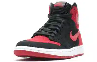 Jordan Air Jordan 1 Flyknit BG Red