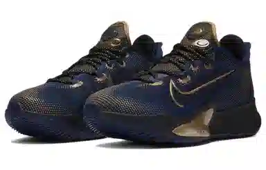 Nike Air Zoom BB NXT EP