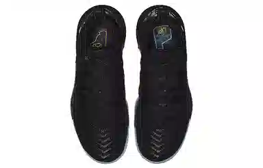 Nike Lebron 16 "I Promise"