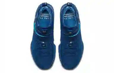 Nike Lebron 14 Agimat