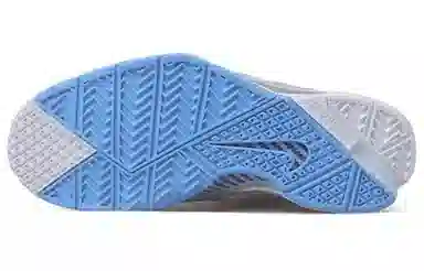 Nike Zoom Kobe 1 MPLS