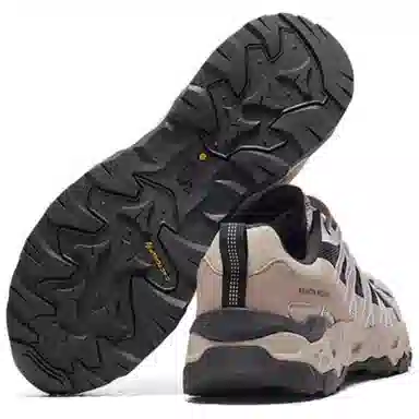 CAMEL Panda Collaboration