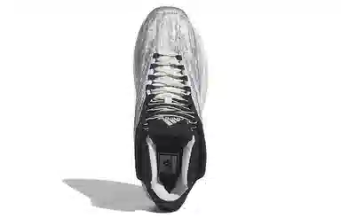 adidas Crazy 1 Grey White