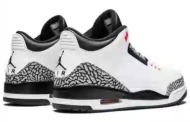 Jordan Air Jordan 3 Retro Infrared 23