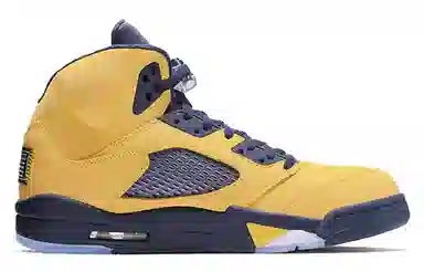 Jordan Air Jordan 5 SP Michigan
