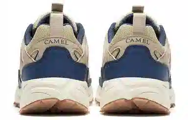 CAMEL 1.0