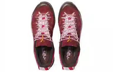 Salomon X-Alpages GTX