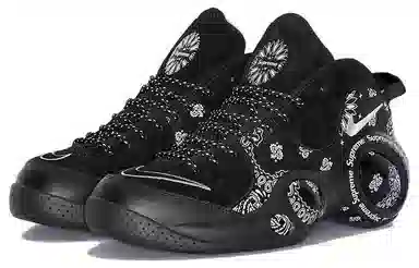 Supreme x Nike Zoom Flight 95