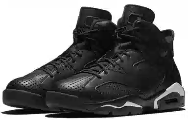 Jordan Air Jordan 6 Retro "Black Cat"