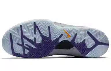 Nike Zoom Kobe 4 Protro Carpe Diem