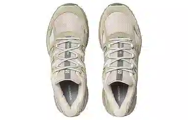 Salomon X-Mission 4 Suede Brown