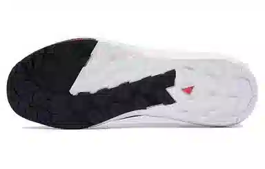 Salomon S/LAB ALPINWAY White