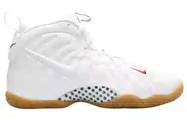 Nike Foamposite Pro Air White Gucci