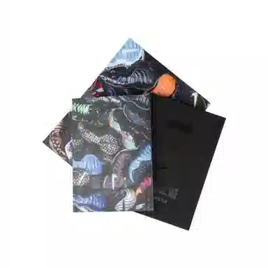 Nike Air Foamposite One "Galaxy" Retro