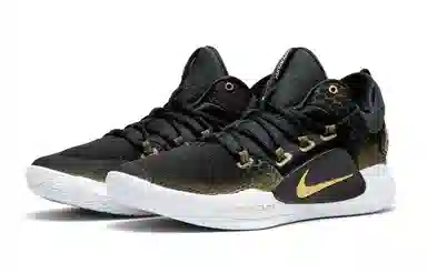 Nike Hyperdunk X Low Black Gold