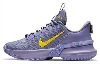 Nike Ambassador 13 LeBron Lakers