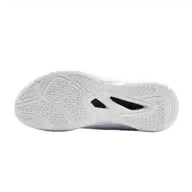 Kawasaki Dream Galaxy