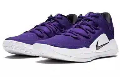 Nike Hyperdunk X Low White Purple