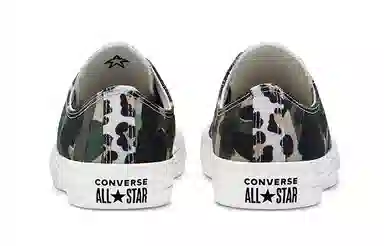 Converse Chuck Taylor All Star Low Top