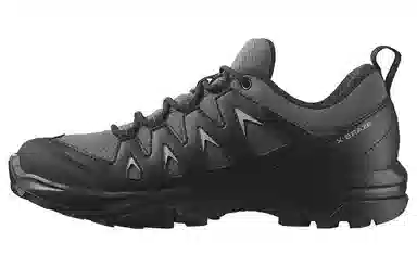 Salomon X Braze GTX W