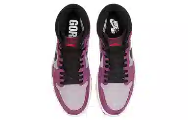 Jordan Air Jordan 1 Element GORE-TEX "Berry"