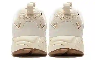 CAMEL 1.0