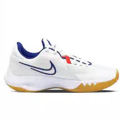 Nike Precision 6