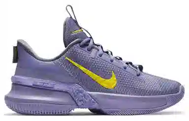 Nike Ambassador 13 LeBron Lakers