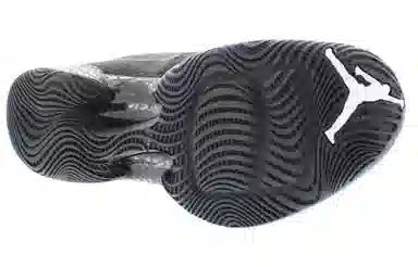 Jordan Air Jordan 29