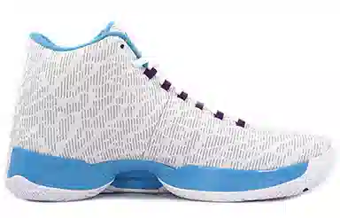 Jordan Air Jordan 29