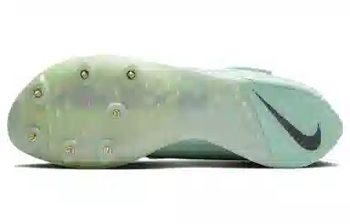 Nike Air Zoom LJ elite