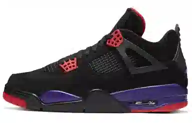 Jordan Air Jordan 4 Retro Raptors NRG