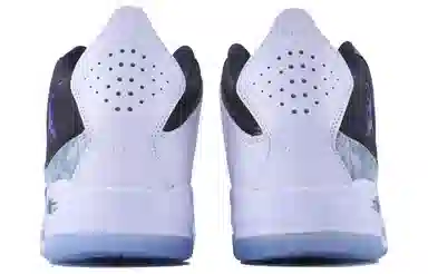 Jordan Courtside 23 SDS