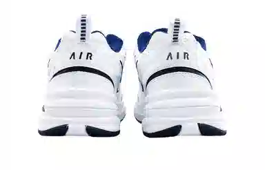 Nike Air Monarch 4 GGMZ