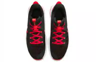 Nike Witness 5 LeBron EP