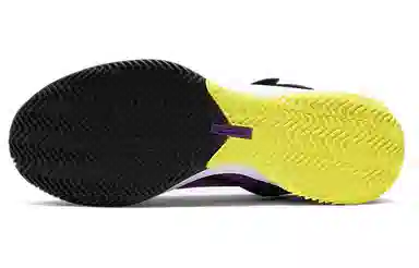 Nike Zoom Soldier 13 LeBron SFG EP