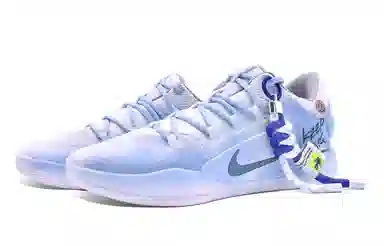 Nike Hyperdunk X Low 10