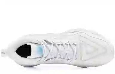 Peak TaiChi Triangle 2.0