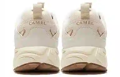 CAMEL 1.0