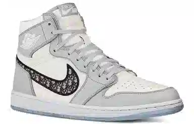 Dior x Air Jordan 1 High OG White Grey