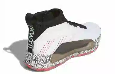 adidas D lillard 5 5