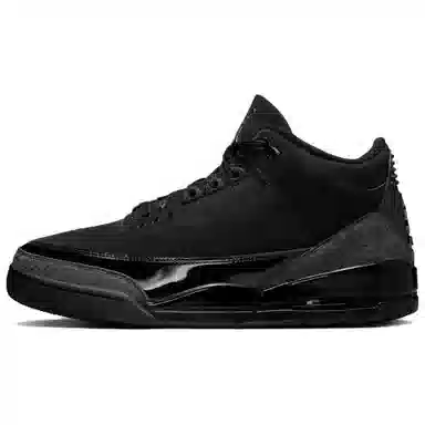Air Jordan 3 Black Cat