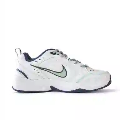 Nike Air Monarch 4