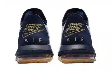 Nike Lebron 16 Low Americana