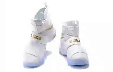 Nike zoom soldier 10 LeBron Gold Medal