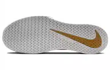 Nike Court Vapor Lite 2